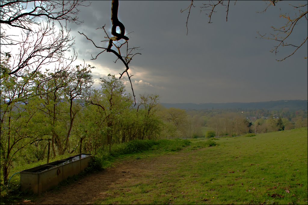 Park Lane, Reigate - Looking across Reigate Heath towards Colley Hill (in a rain storm!)