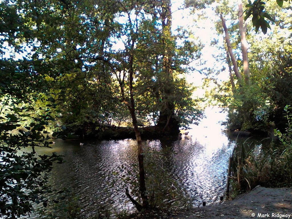 Priory Park Lake (8)
