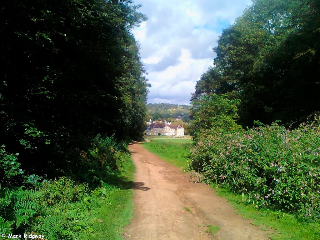The Priory from the Wood