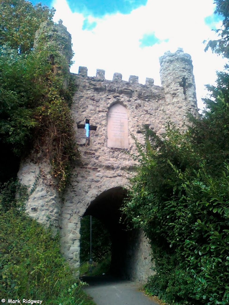 Reigate Castle (2)