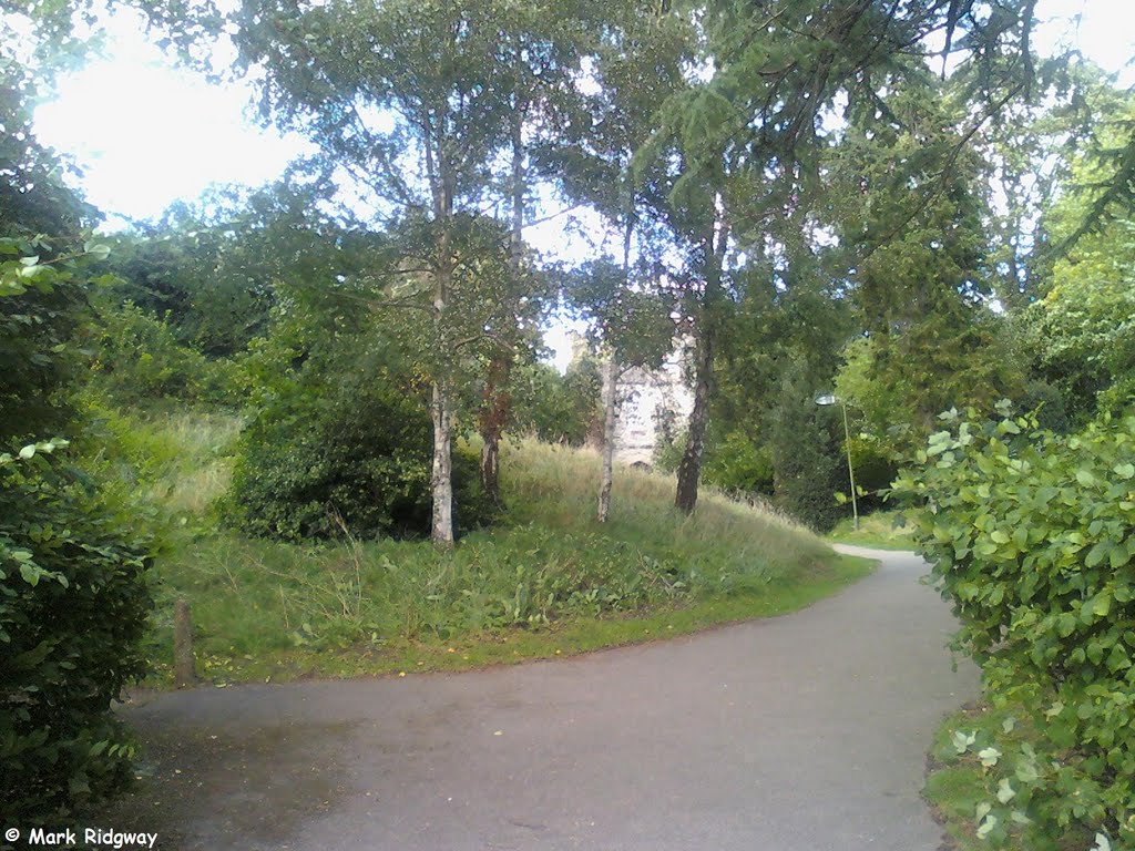 Reigate Castle Gardens (2)