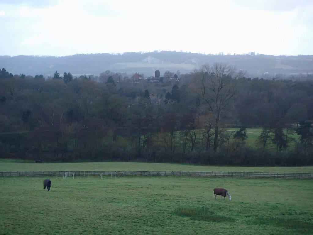 Heath windmill in the distance