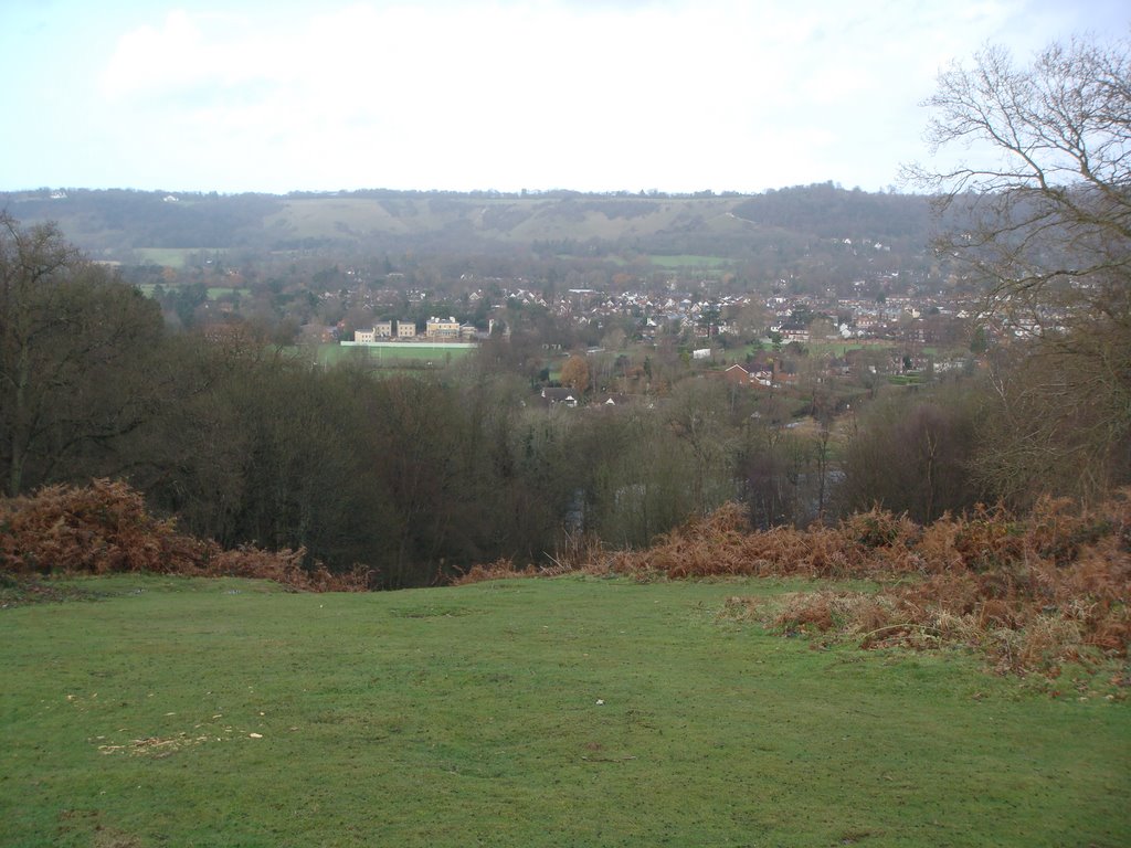Across the valley towards the Surrey downs in Autumn