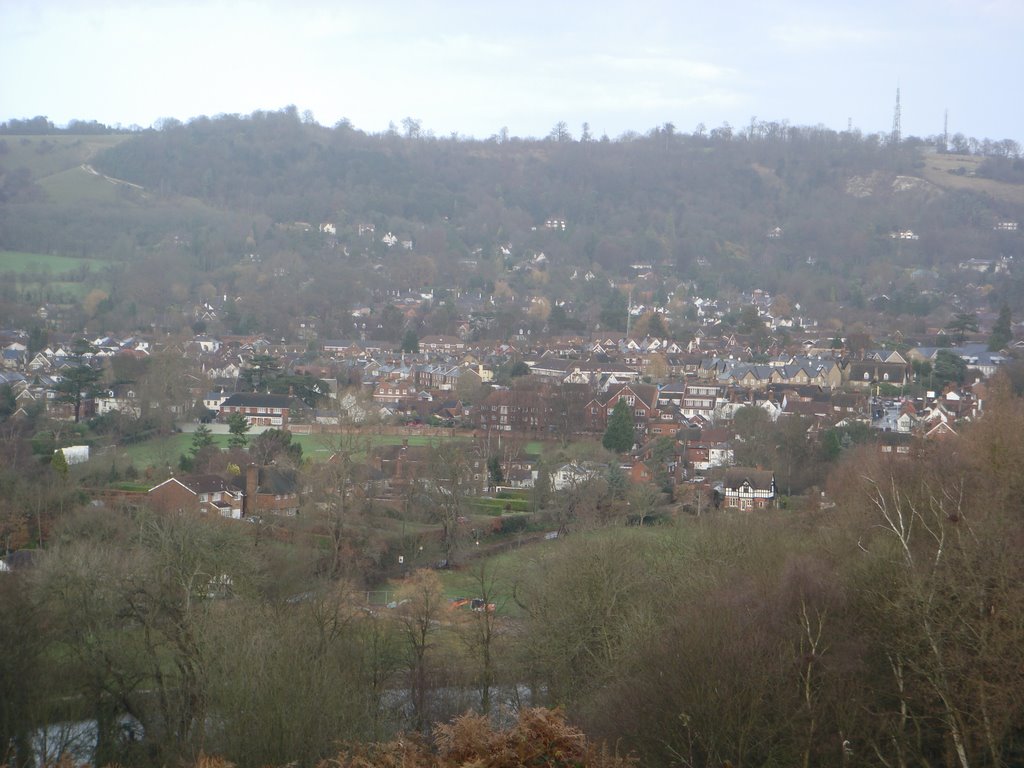 Reigate centre from Priory Park ridge