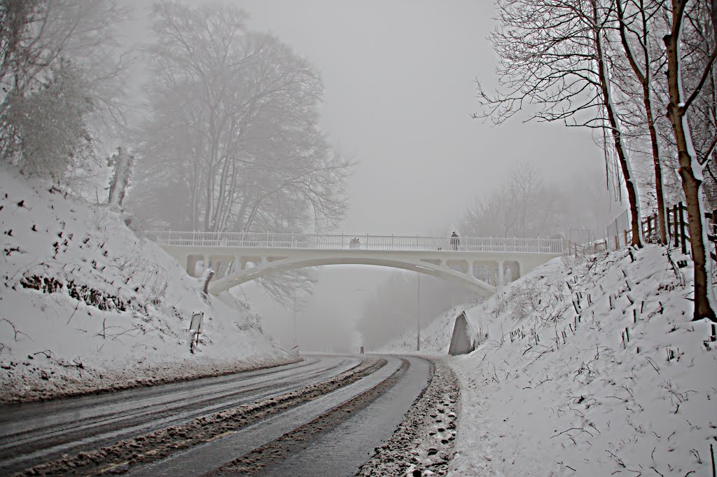 Winter weather, Reigate Hill footbridge