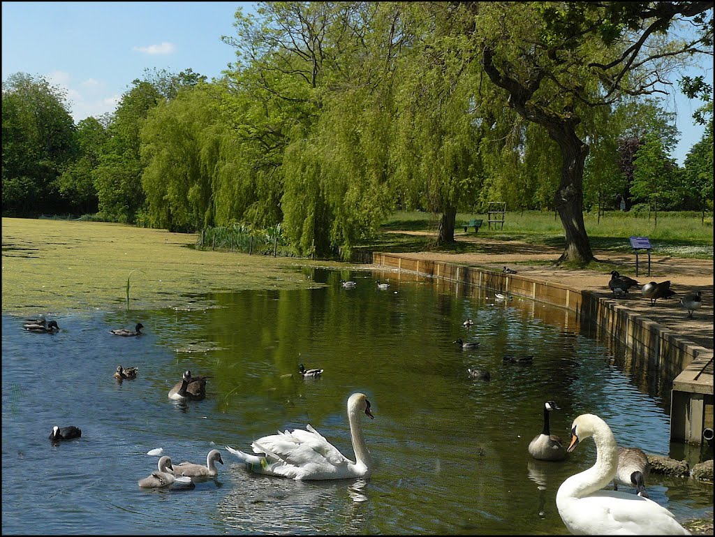 Priory  Pond