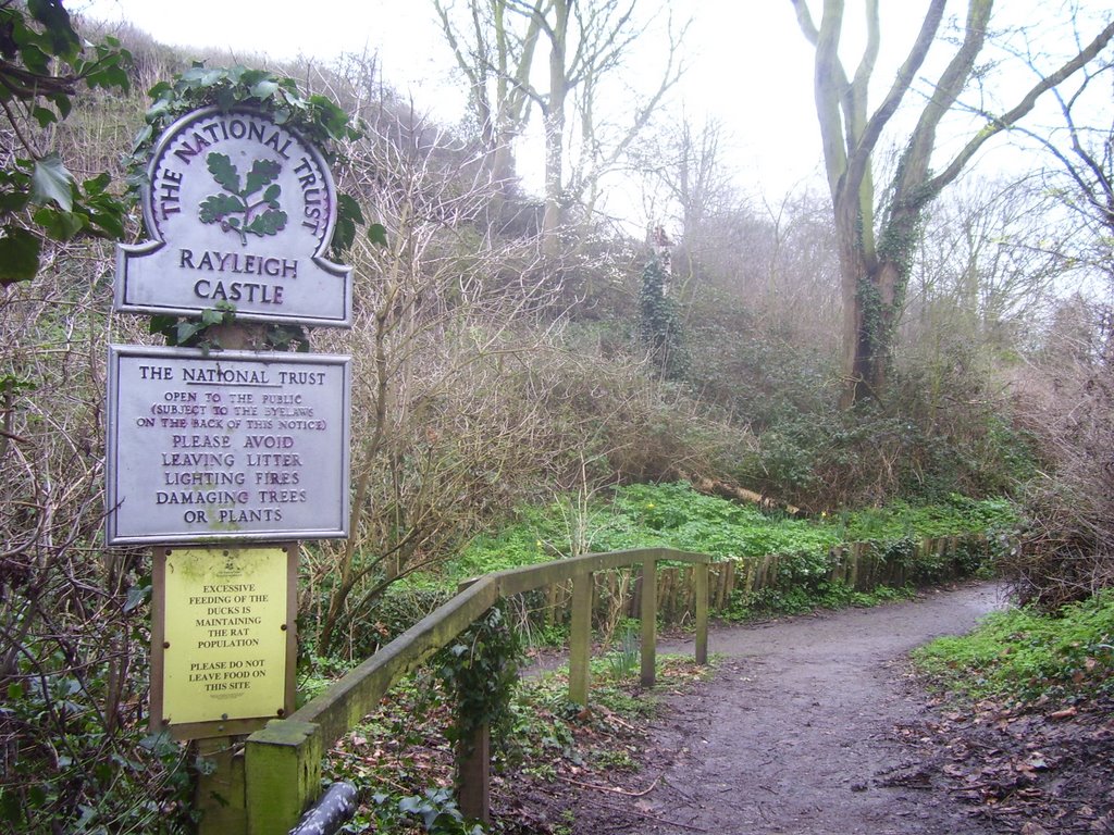 Rayleigh Mount