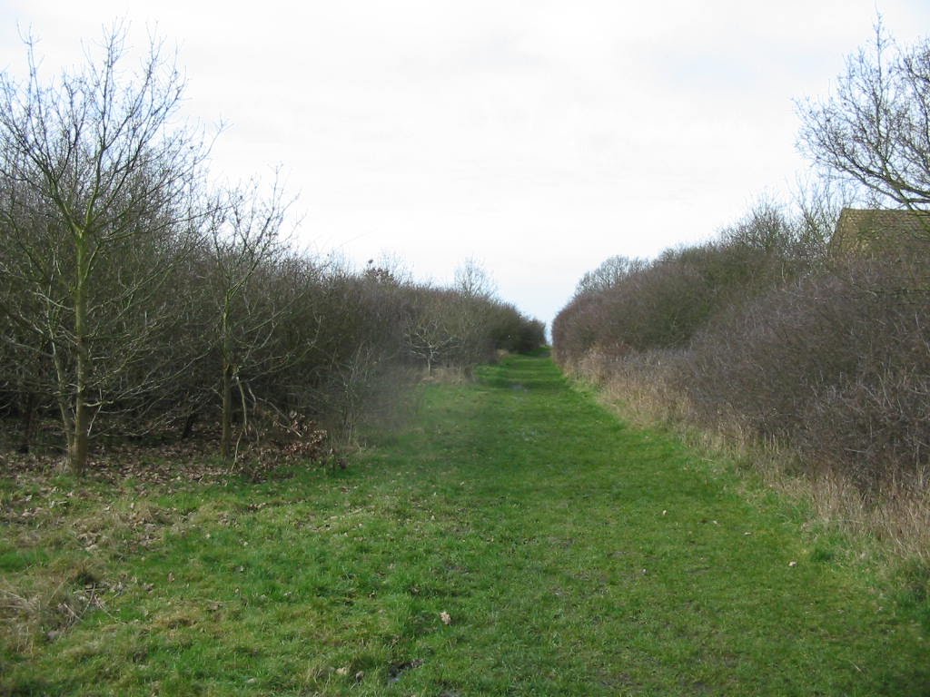 Wheatley Wood