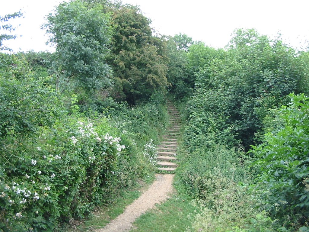 Steps up to the Motte