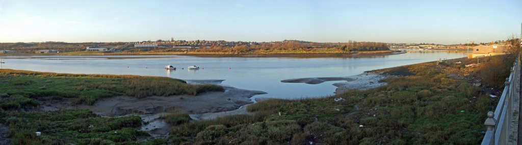 Temple Marsh viewed across Wickham Reach