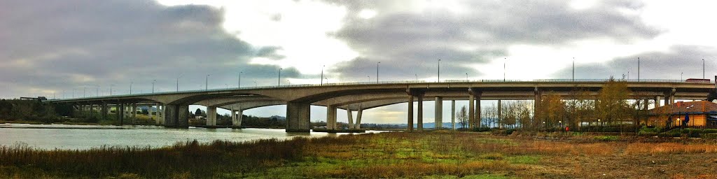 Medway Bridges