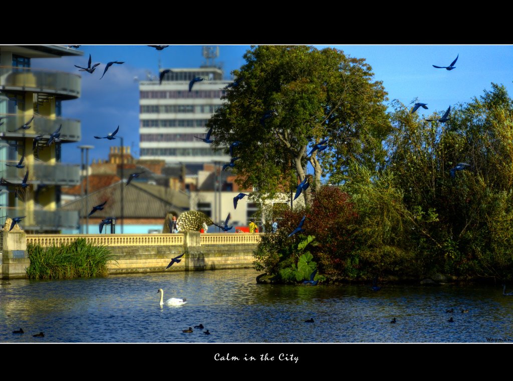 Calm in the City