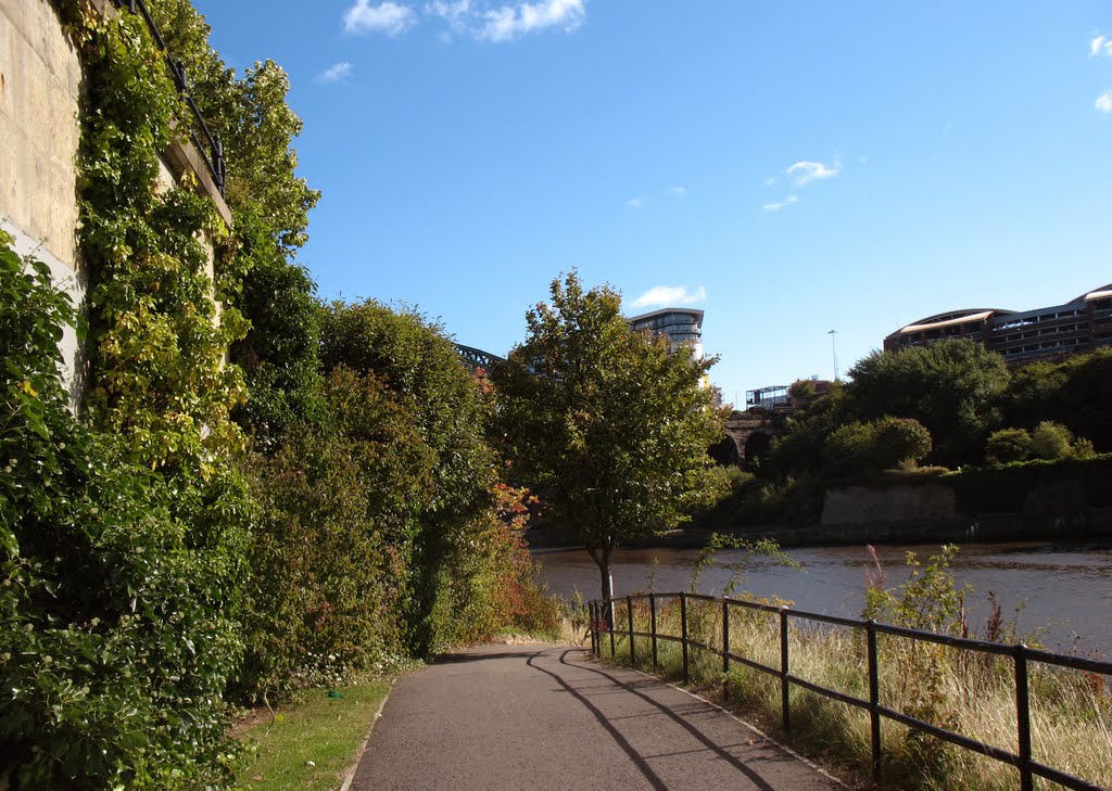 River Wear : Sunderland