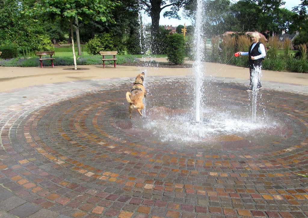 Dog  in a Fountain