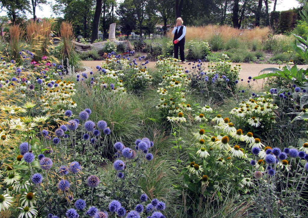 Flowers in the Park