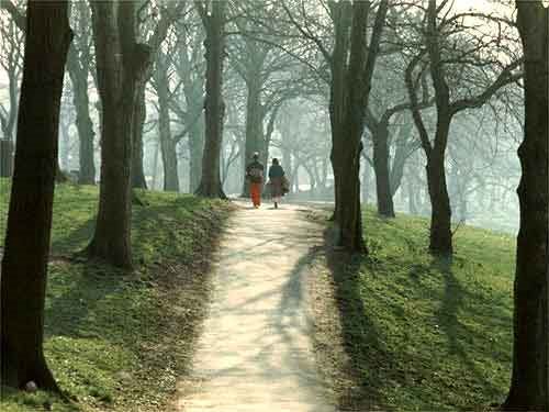 Backhouse Park