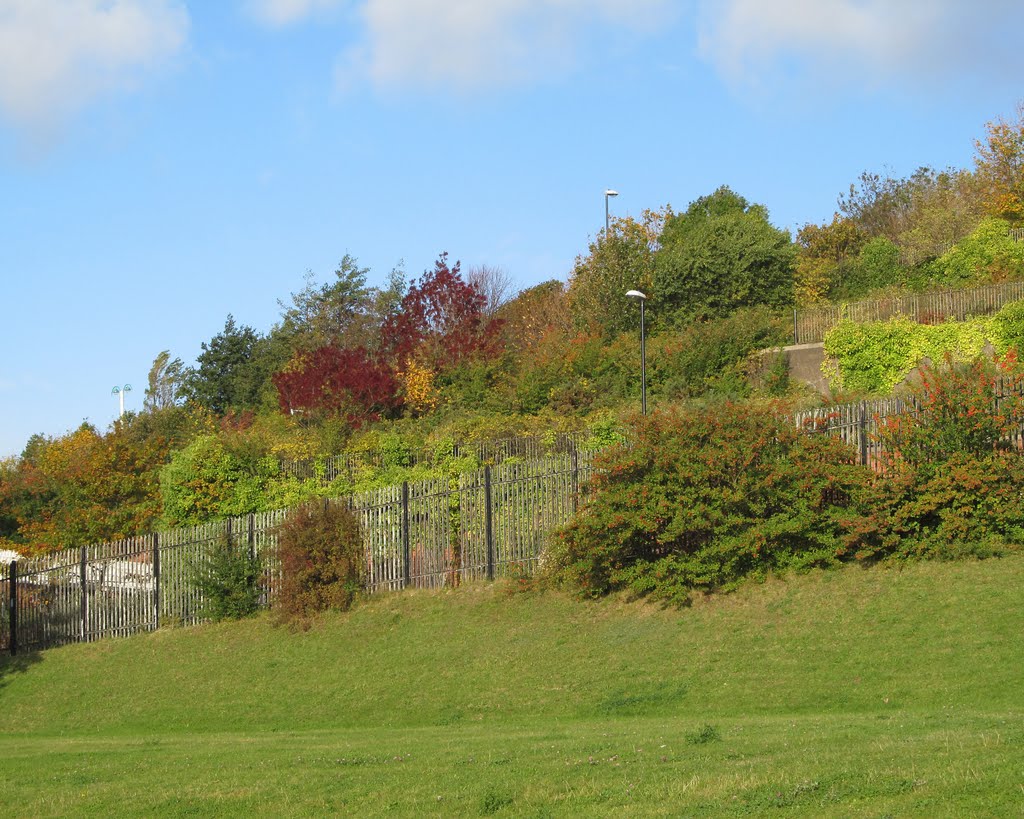 Autumn Colours