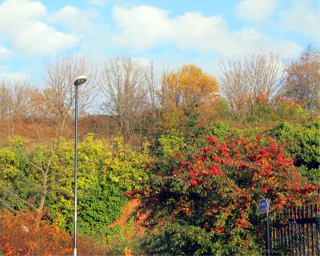 A Final Flourish : Monkwearmouth : Sunderland