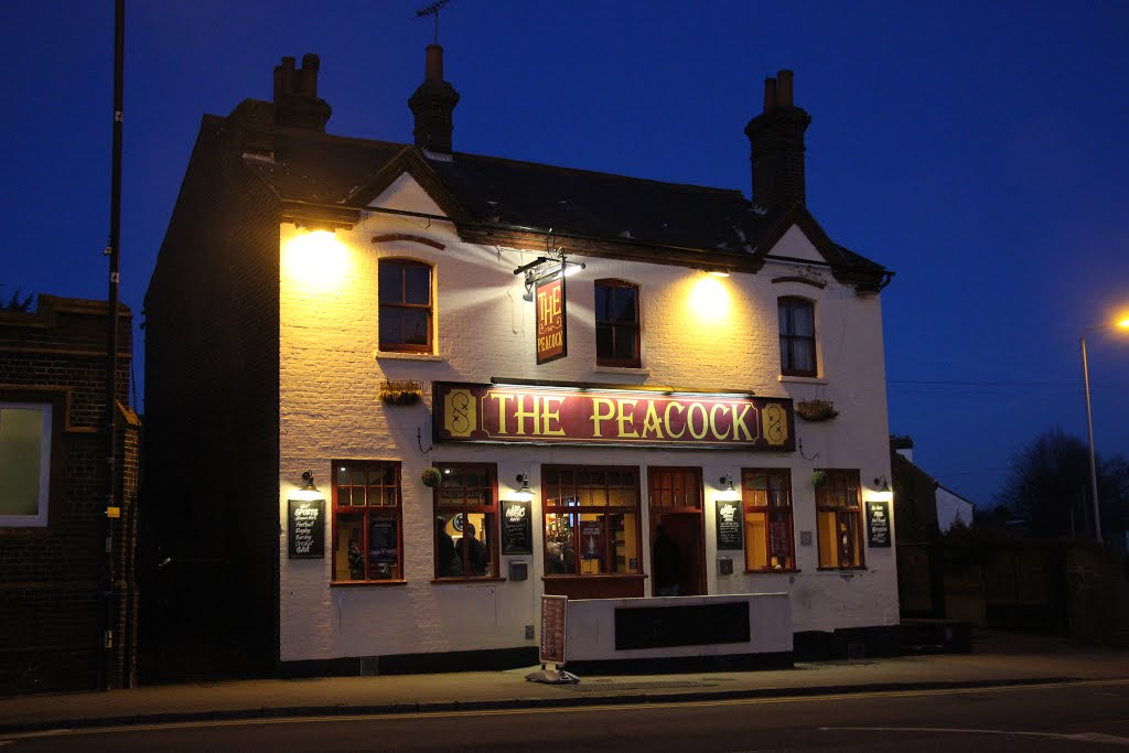 LB - The Peacock at night