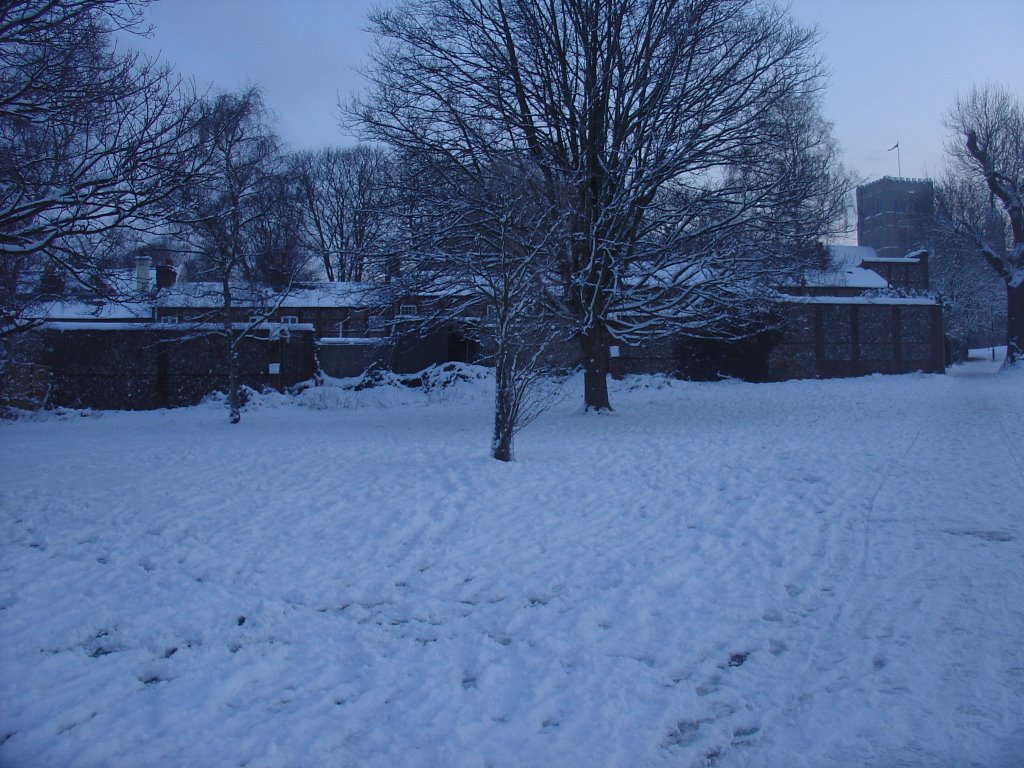Path leading to the Cathedral with Orchard Close in front