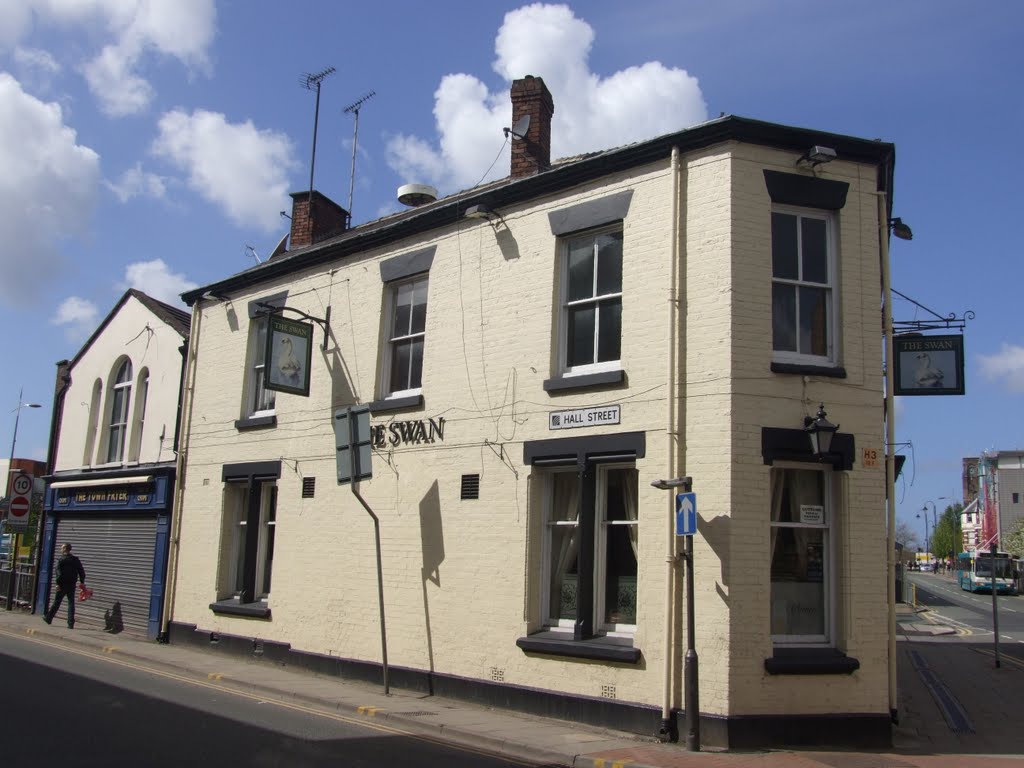The Swan