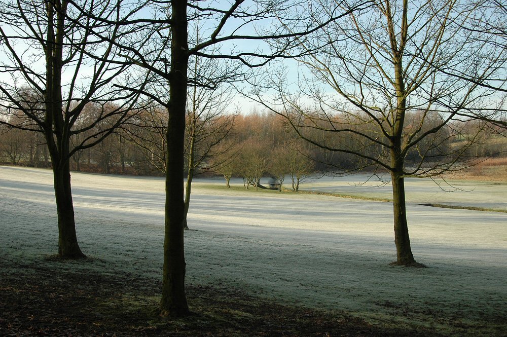 Sherdley