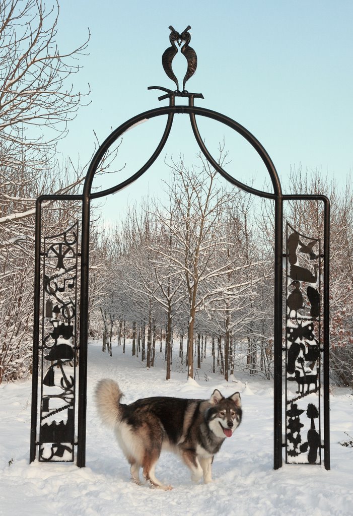 Iron Gates At Brierley Forest Park