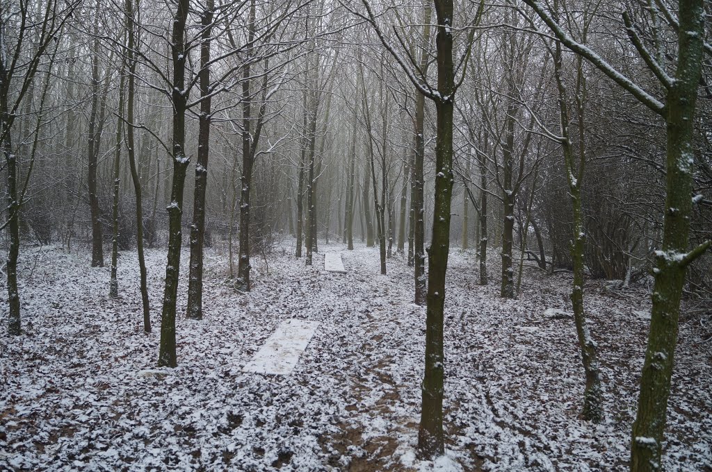 Sutton Meadow in Snow