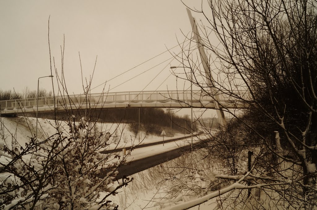 Millennium Bridge A38