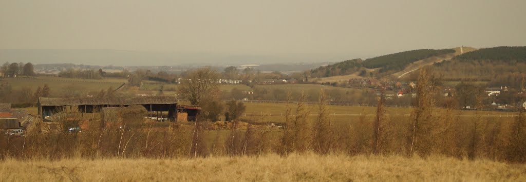 Looking out to Silverhill Park