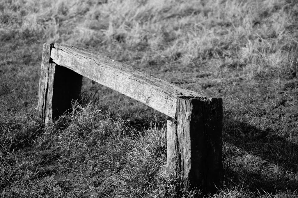 Brierley Forest Park - Resting Place