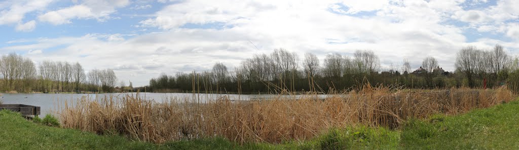 Brierley Pool