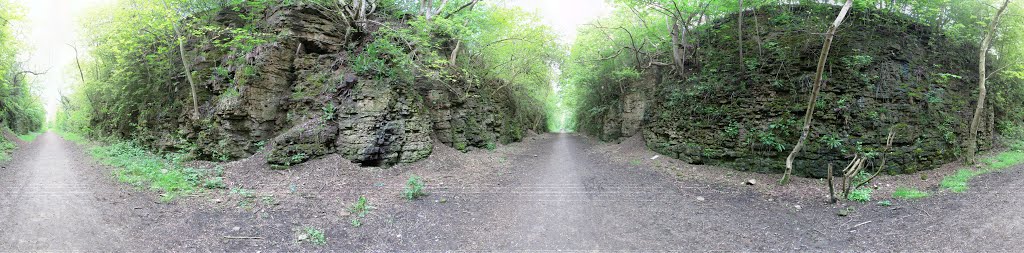 Skegby Trail