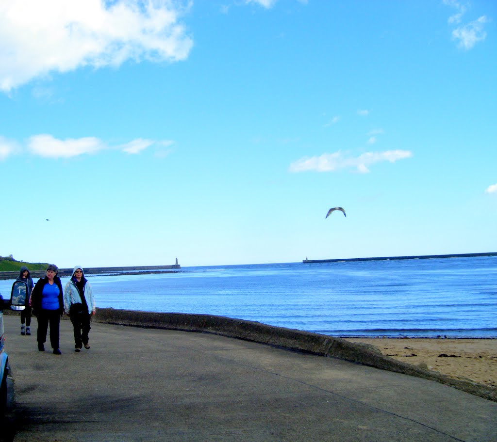 TYNE MOOTH 1