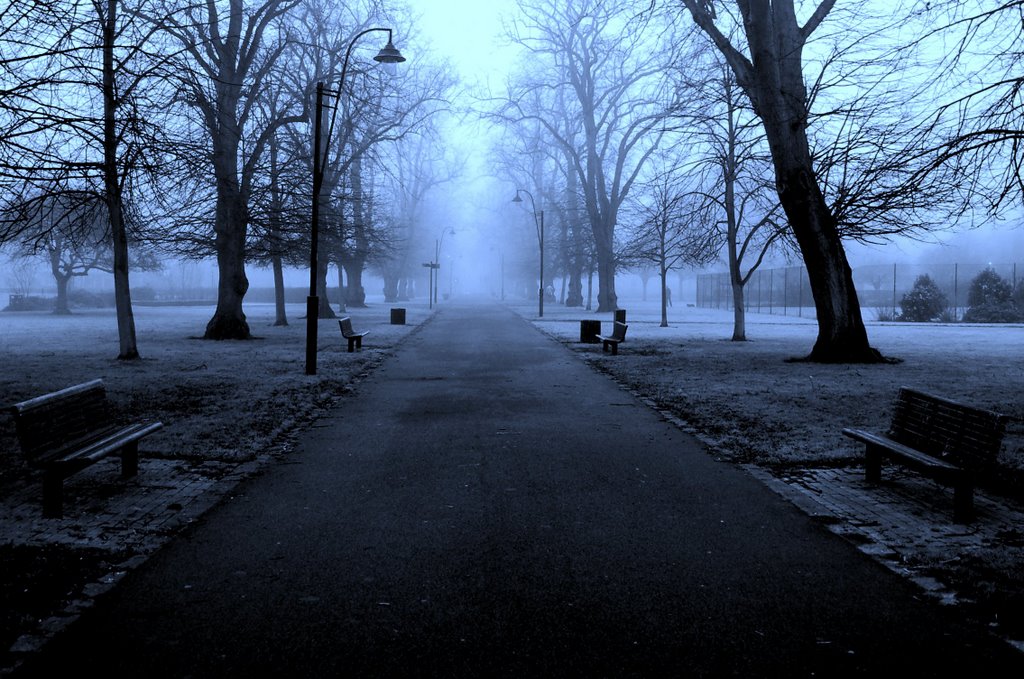 Foggy Morning in East Park