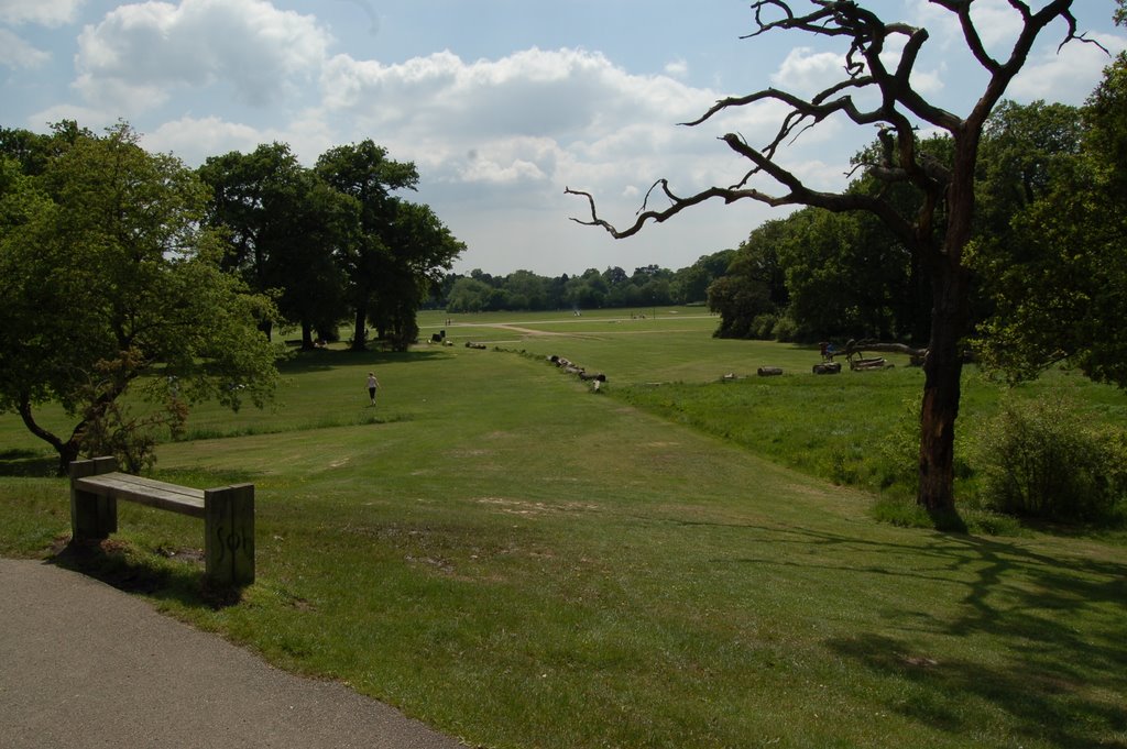 The Commons