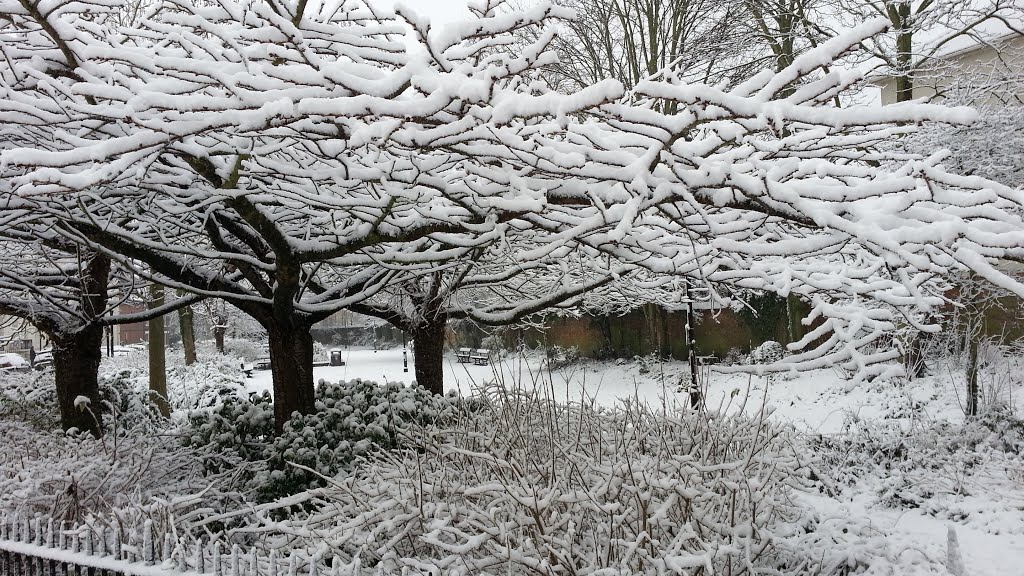 Frosty