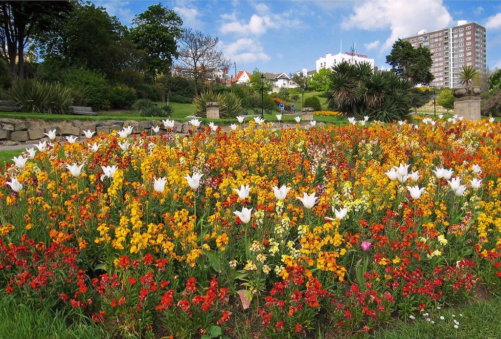 Westcliff-on-Sea in May
