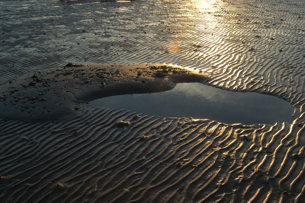 beach gold