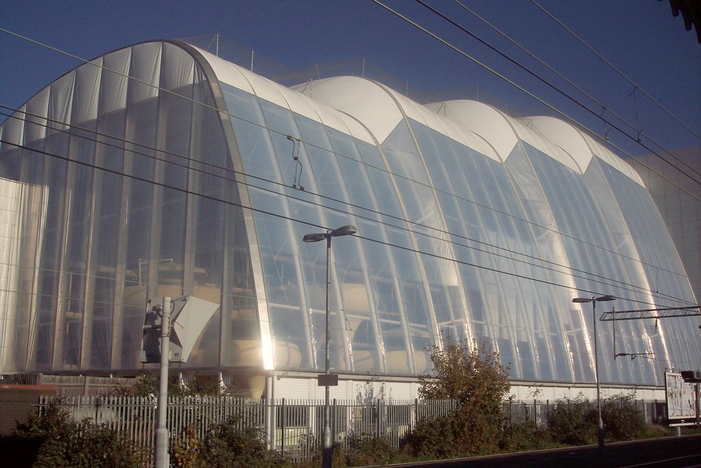 Essex university
