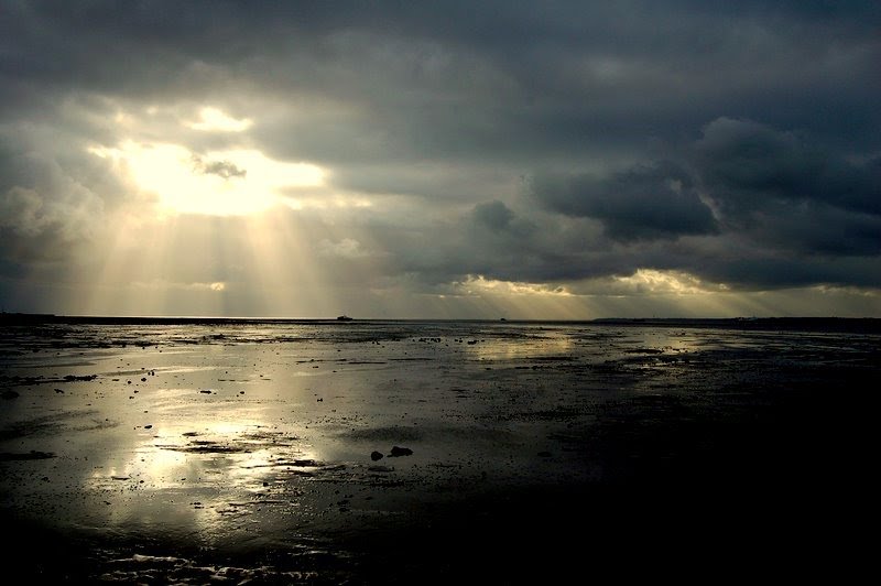 stormy dawn