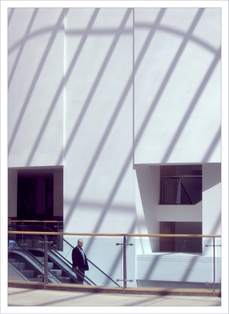 Diagonals