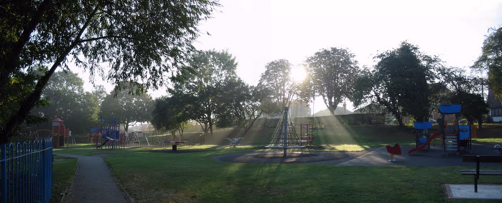 The playground lit through trees
