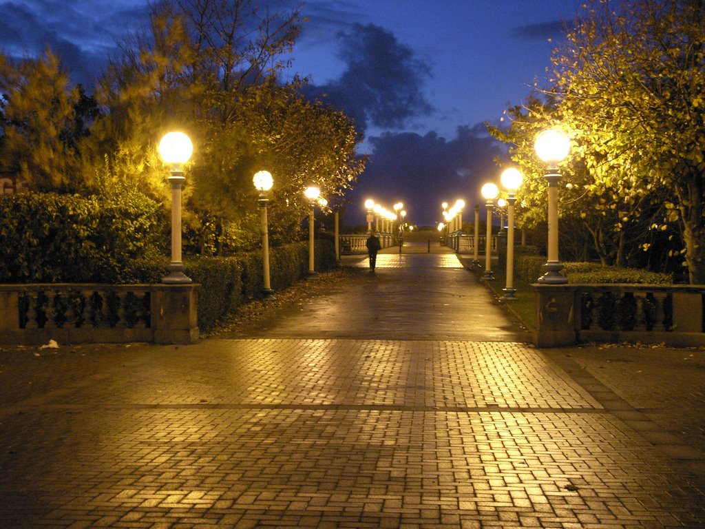 Wooden Bridge over Lake, Southport
