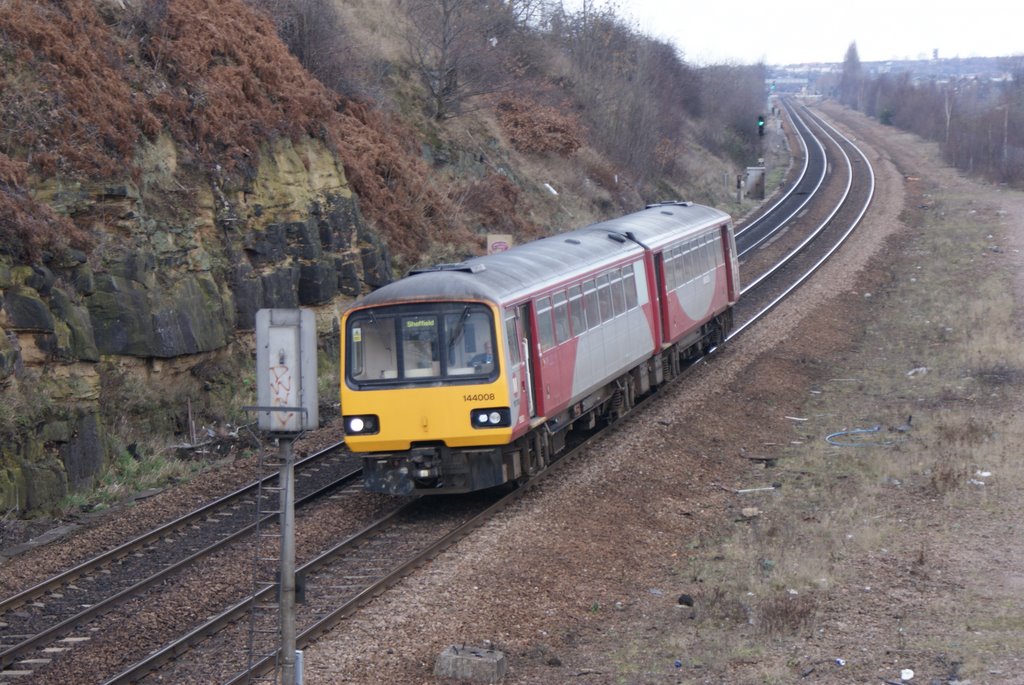 Train near Potters Court Kilnhurst