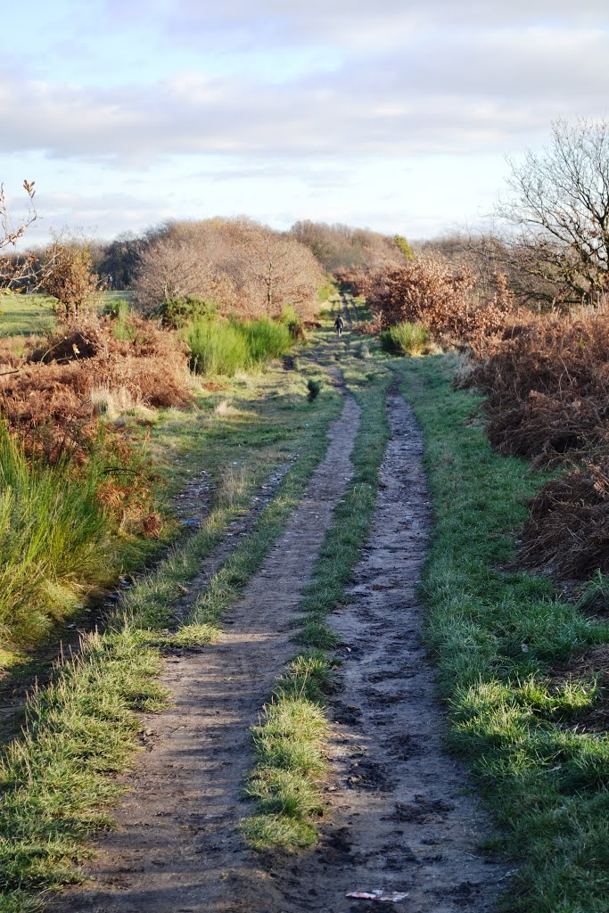 Path on the course of the old racecourse at Wath