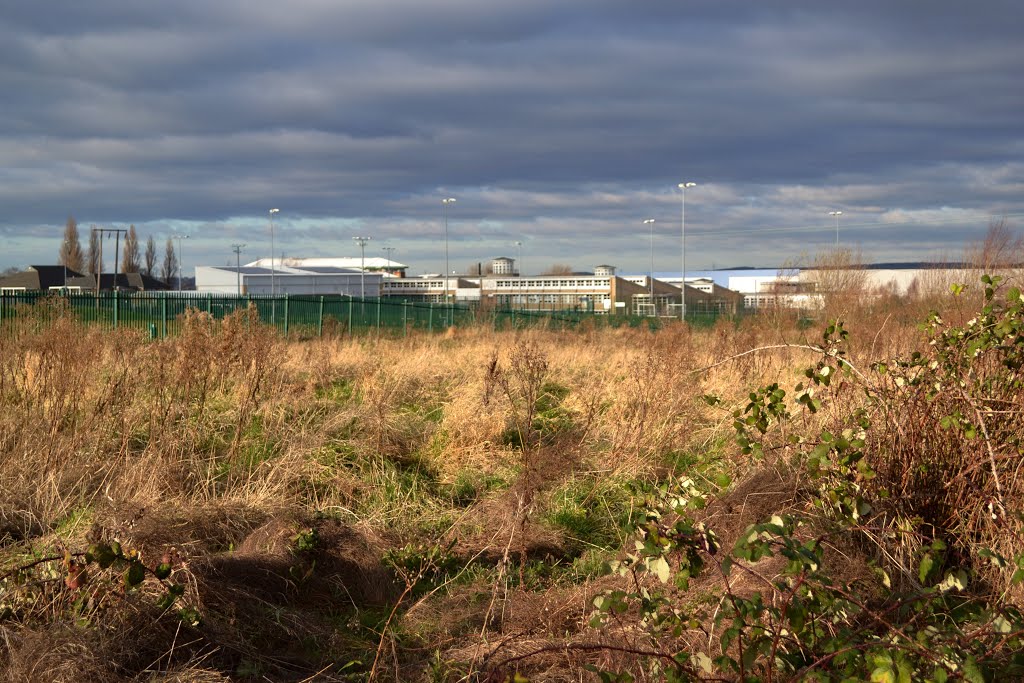 View across scrubland to Dearne Valley College, Manvers