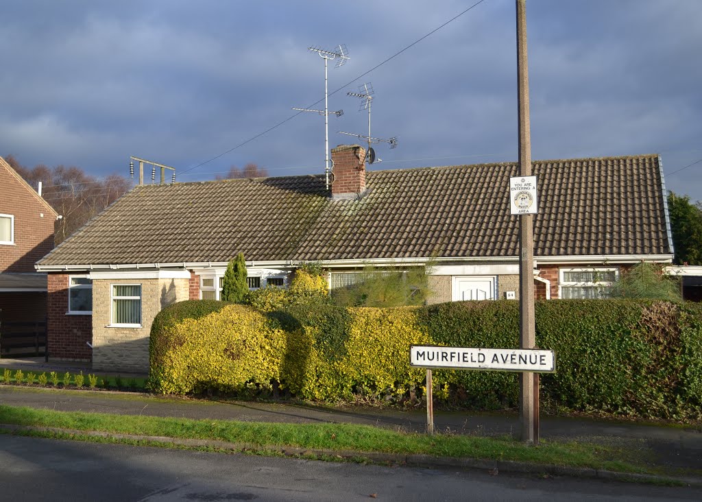 Semi-detached bungalows on Muirfield Avenue, Swinton