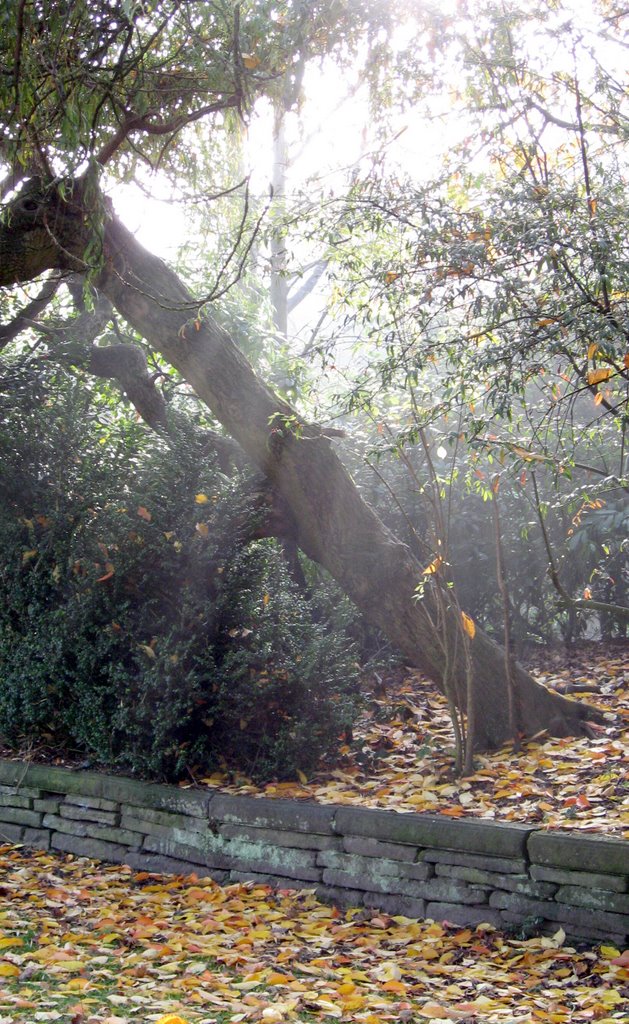 Longford Park