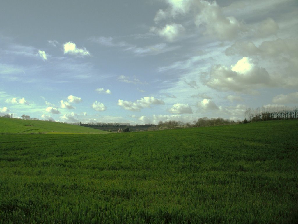 Fields sittingbourne